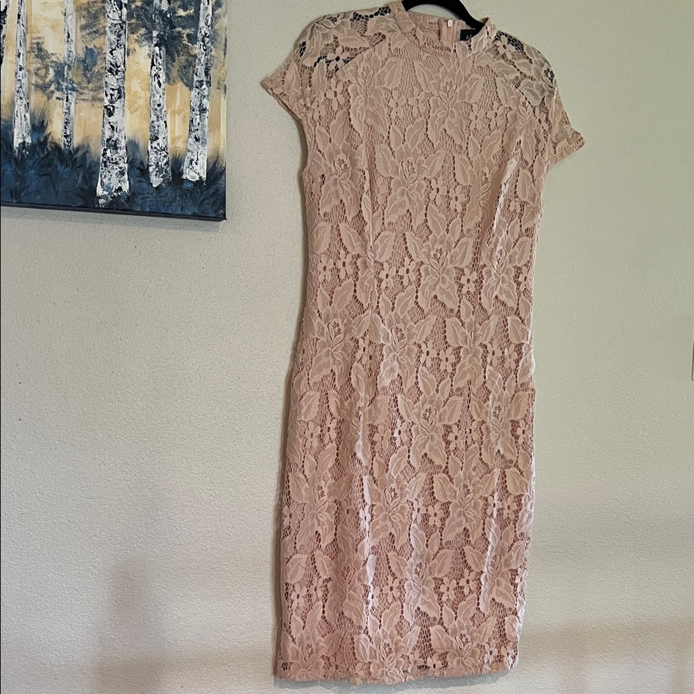 Ashro Blush Lace Midi Dress